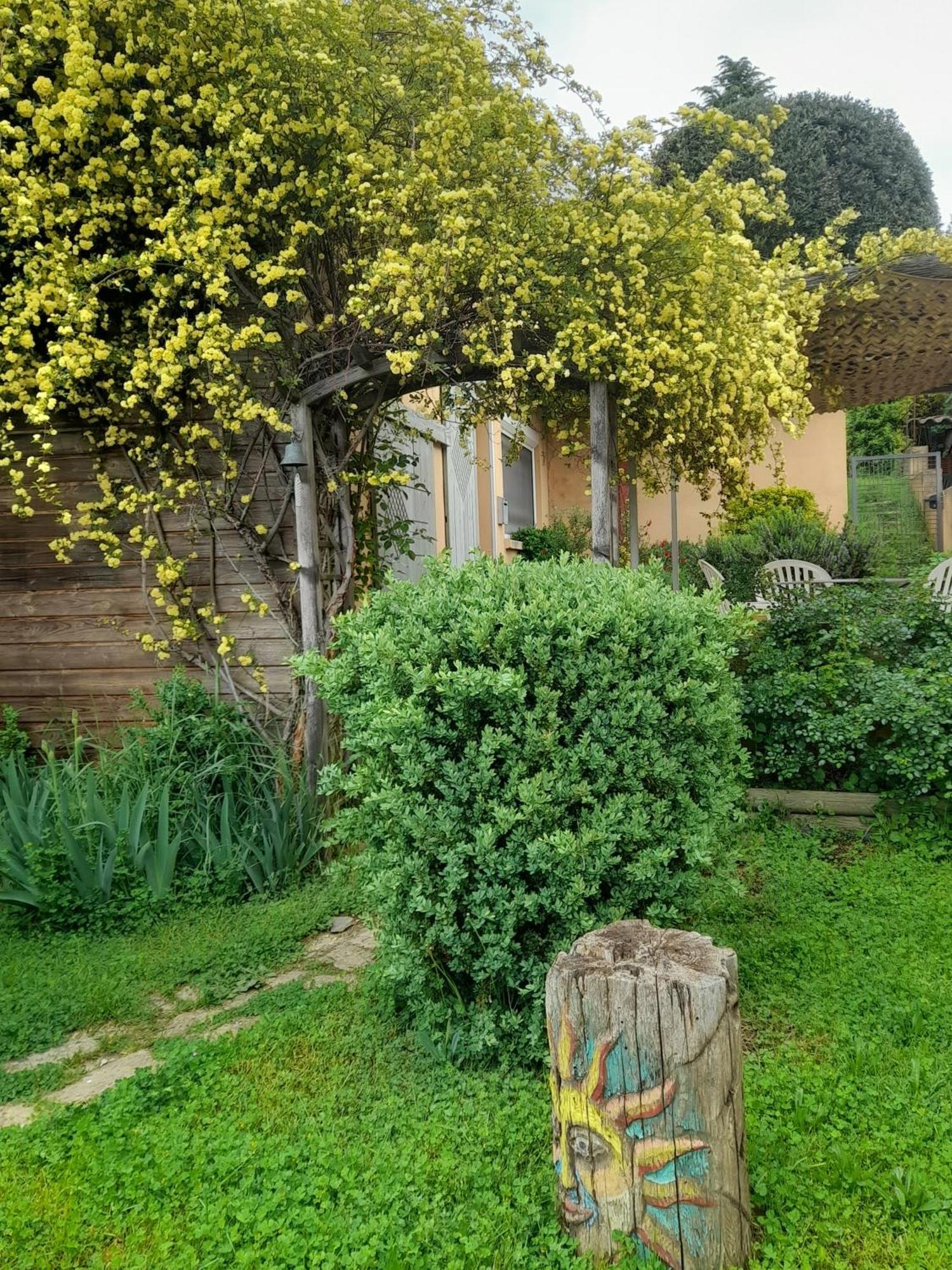 Chez Anne Et Aime Apartment Millau